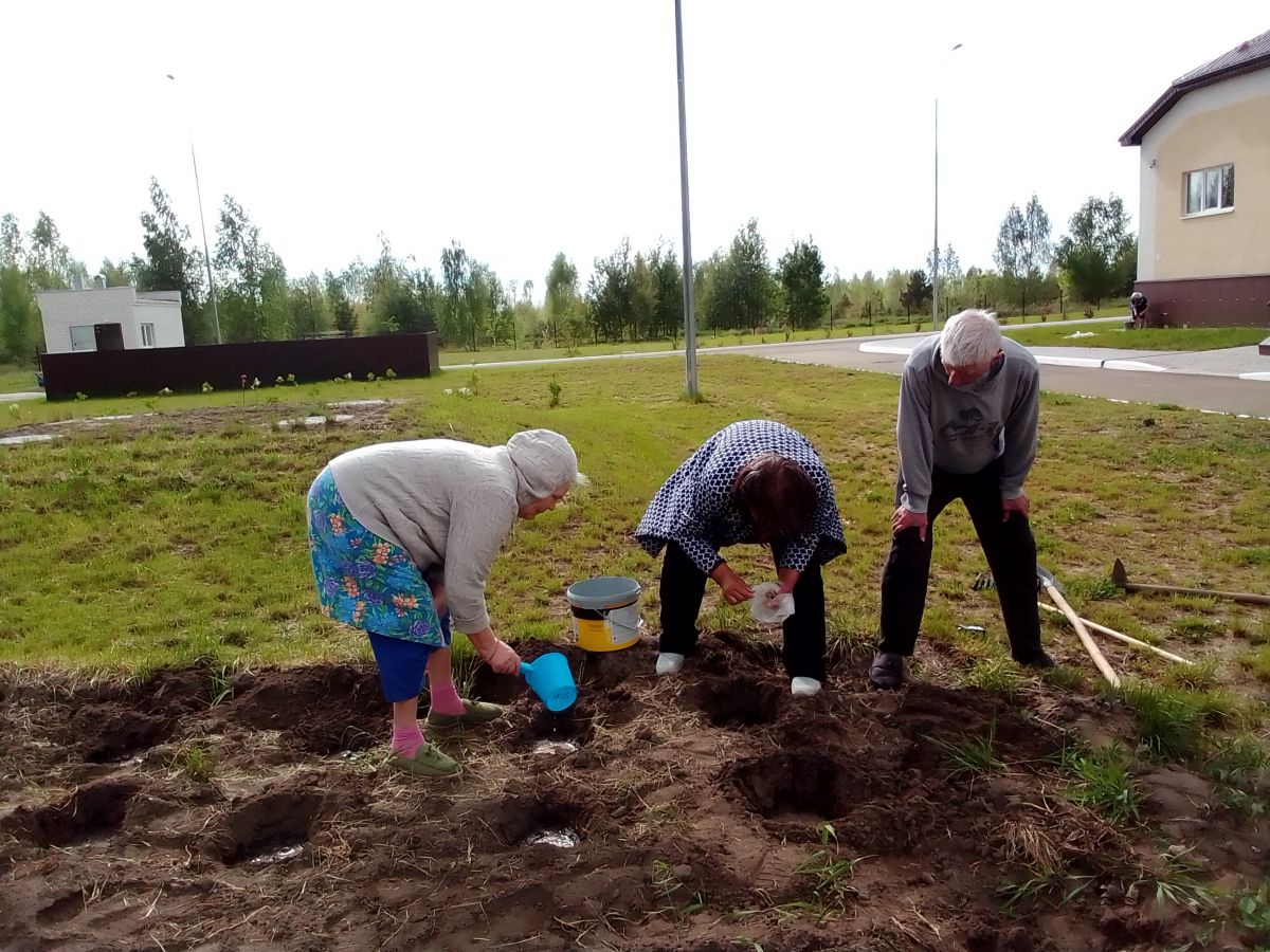 Кружок « Огородников»